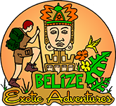 https://www.discoverbelize.bz/wp-content/uploads/2019/07/Belize-Exotic-Adventures-logo.png