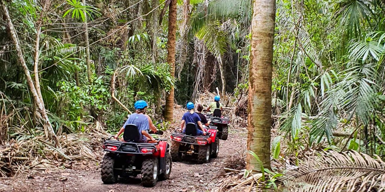 Jungle ATV and Farm Experience