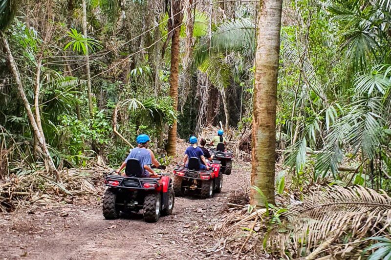 Jungle ATV and Farm Experience